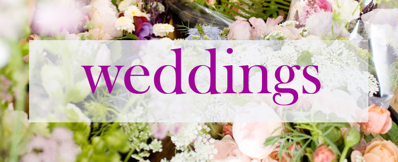weddings in Pembrokeshire