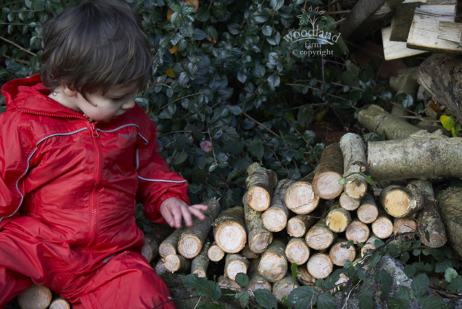 stacking wood