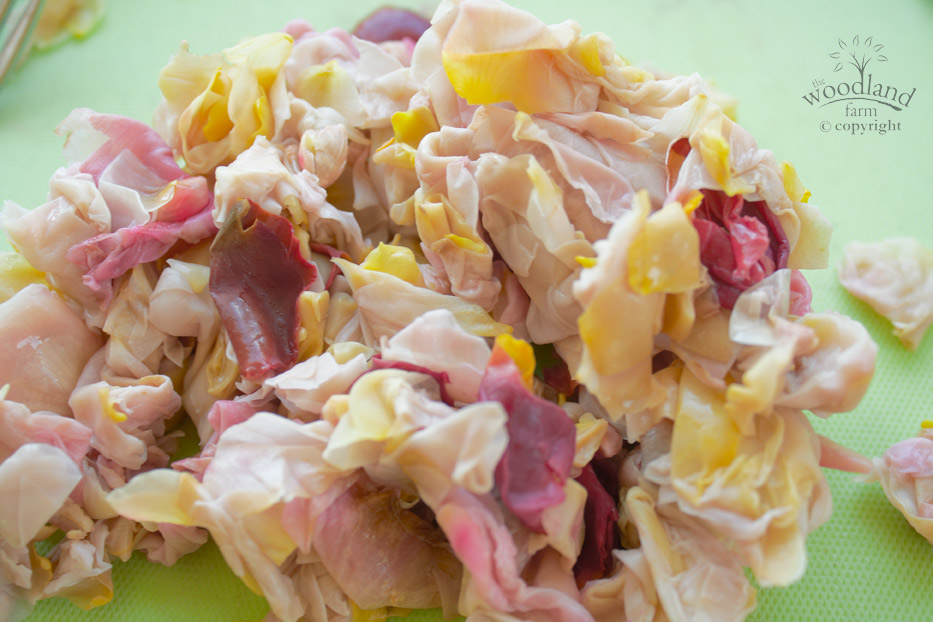mashed roses
