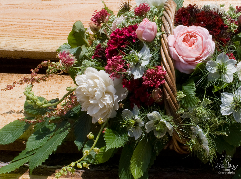Basket of Pembrokeshire Flowers