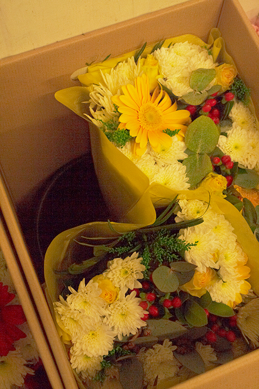 bunch1