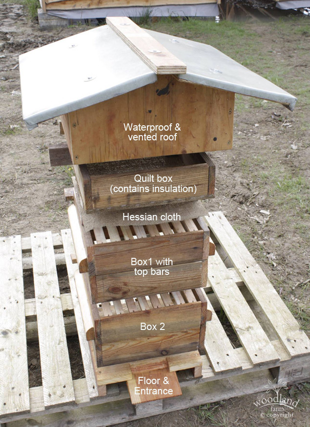How a warre hive works